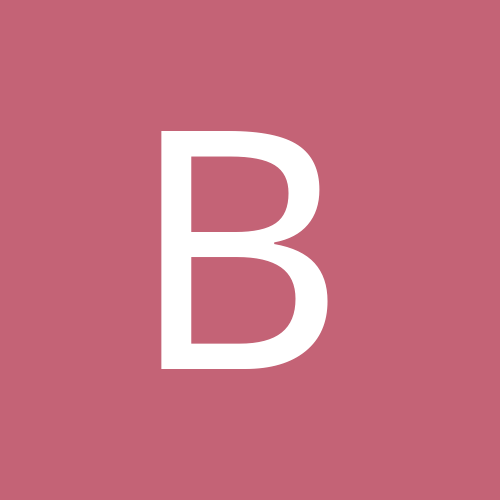 Brawler